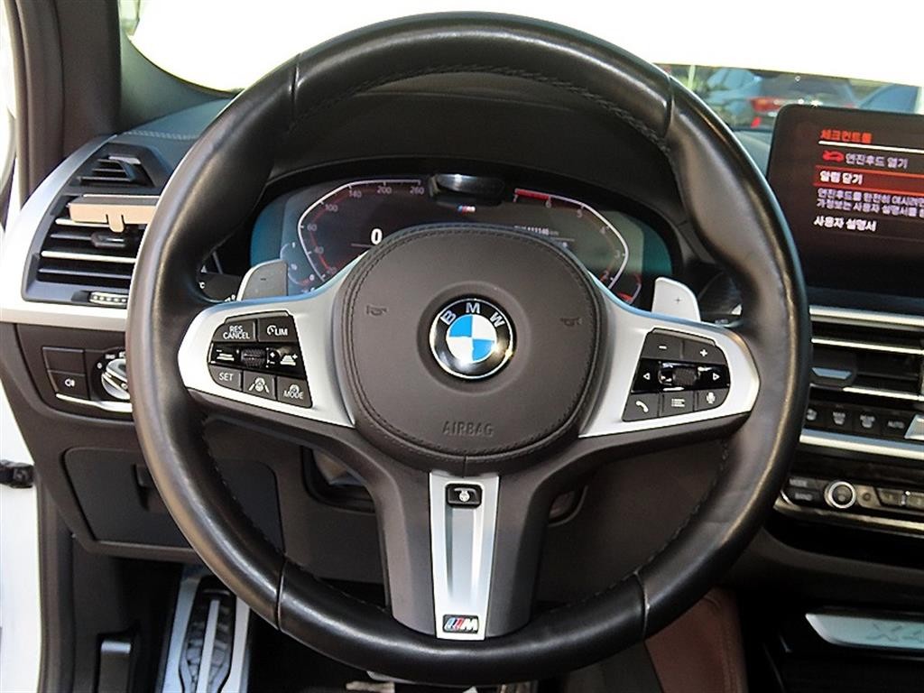 BMW X4 X4 (G02) xDrive 20i M 스포츠 X 이미지 8