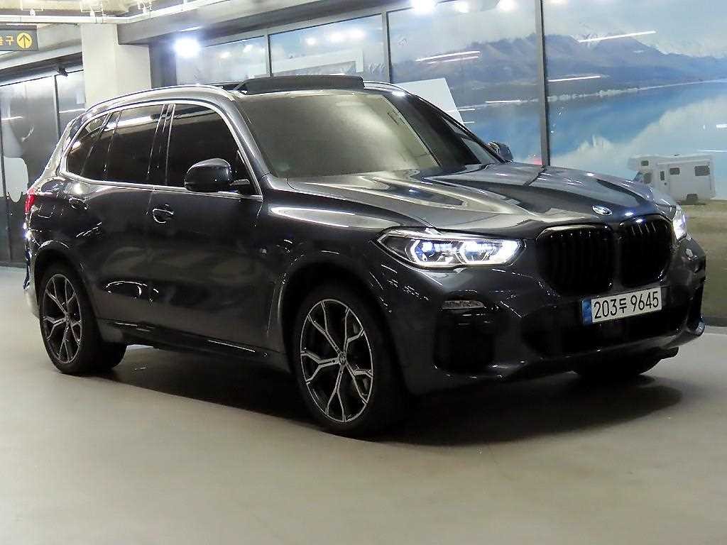 BMW X5 X5 (G05) xDrive 45e M 스포츠 이미지 1