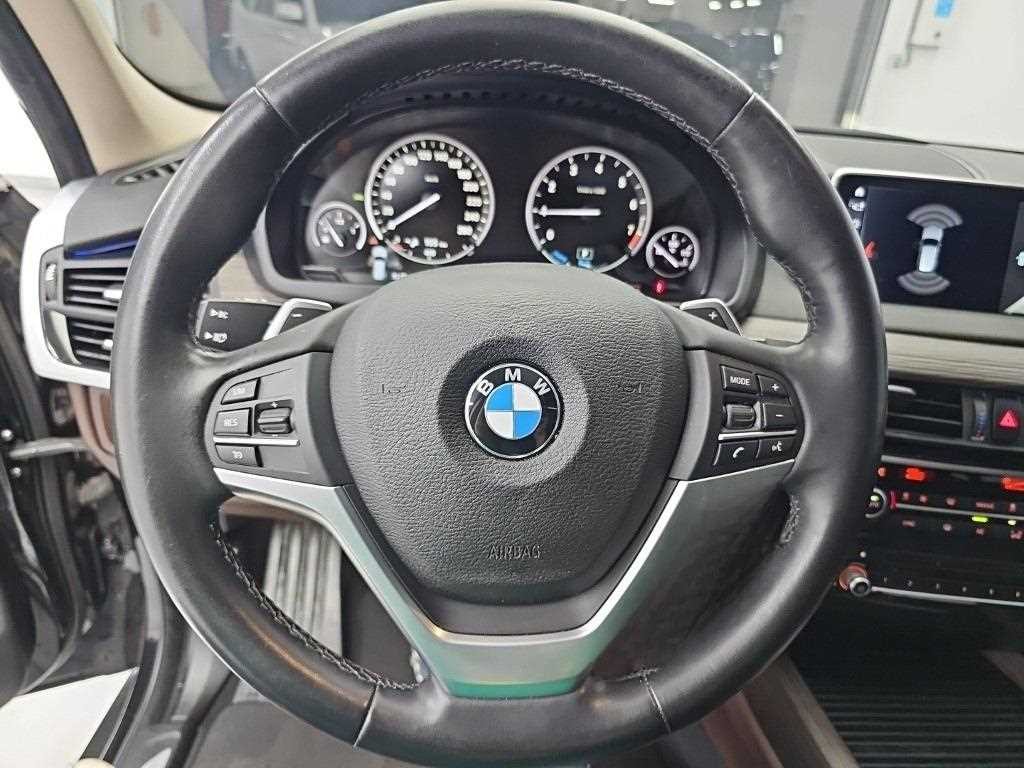BMW X5 X5 (F15) xDrive 40e I 퍼포먼스 이미지 8