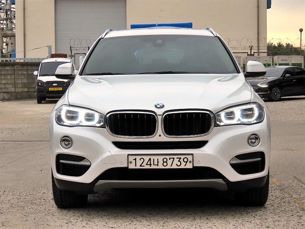 BMW X6 X6 (F16) xDrive 30d 이미지 1
