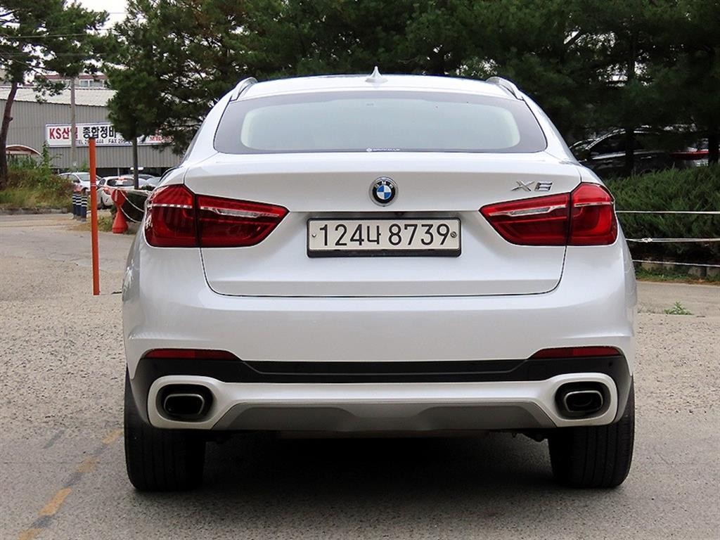 BMW X6 X6 (F16) xDrive 30d 이미지 4