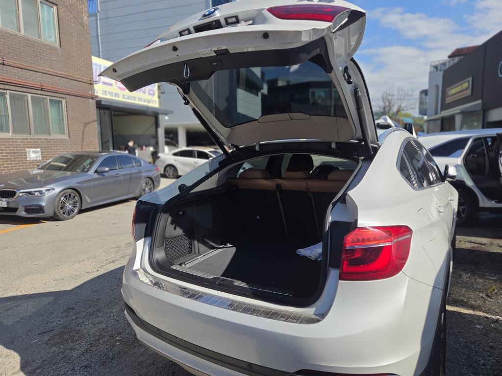 BMW X6 X6 (F16) xDrive 30d 이미지 4