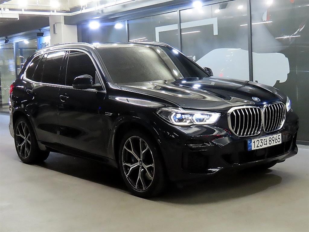 BMW X5 X5 (G05) xDrive 45e M 스포츠 이미지 1