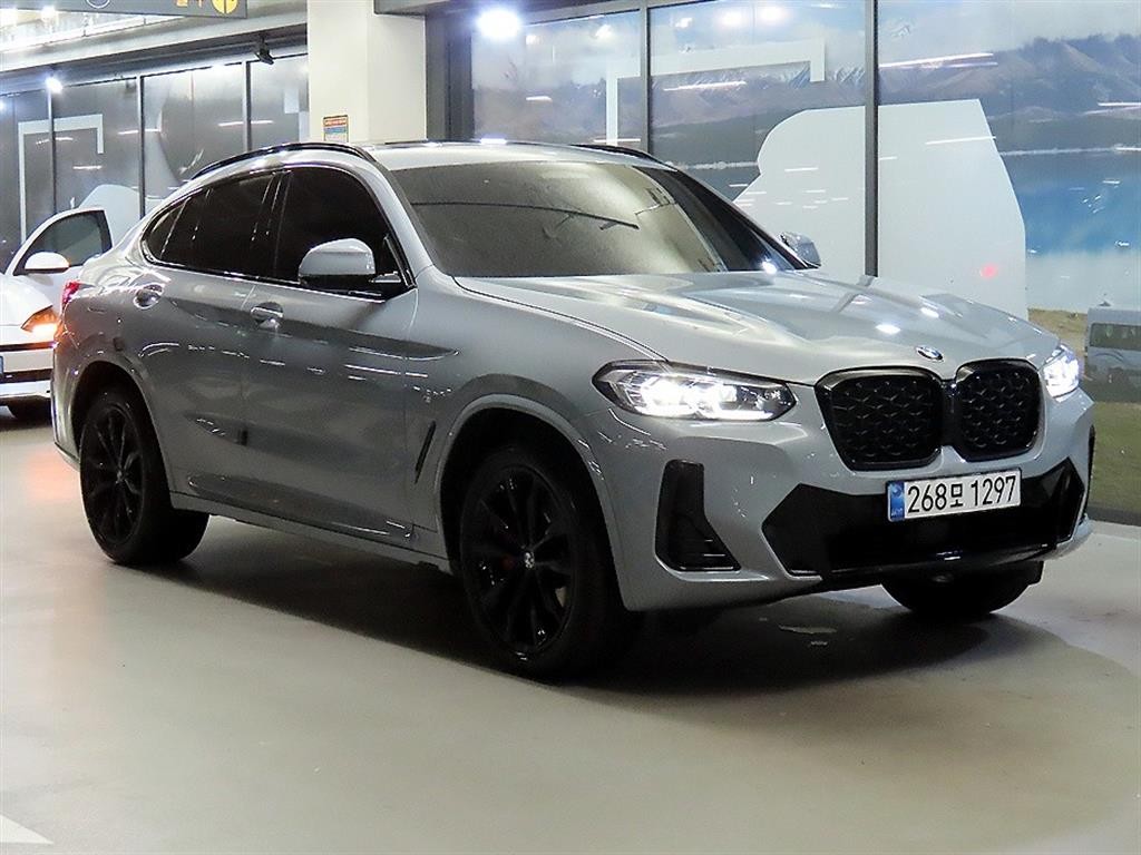 BMW X4 X4 (G02) xDrive 20i M 스포츠 프로 이미지 1