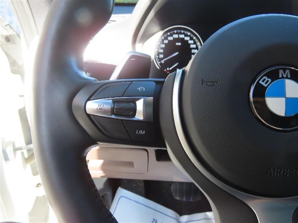 BMW X1 X1 (F48) xDrive 20i M 스포츠 이미지 11