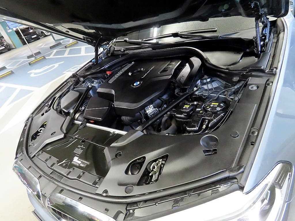 BMW 5시리즈 5시리즈 (G30) 530i xDrive M 스포츠 플러스 이미지 19