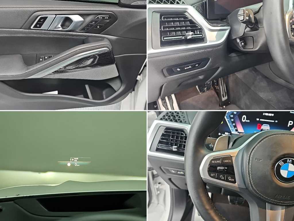 BMW X6 X6 (G06) xDrive 30d M 스포츠 이미지 18