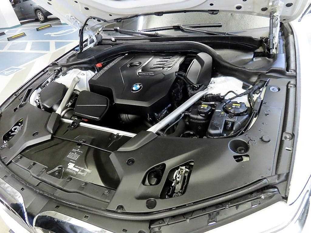 BMW 5시리즈 5시리즈 (G30) 520i 럭셔리 플러스 이미지 19