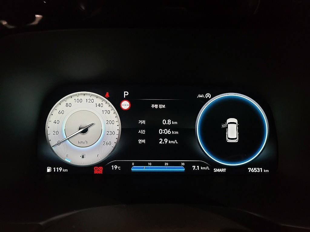 현대 팰리세이드 더 뉴 팰리세이드 가솔린 3.8 4WD 이미지 9