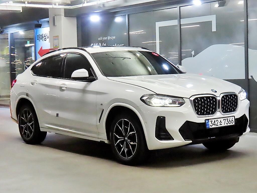BMW X4 X4 (G02) xDrive 20i M 스포츠 이미지 1