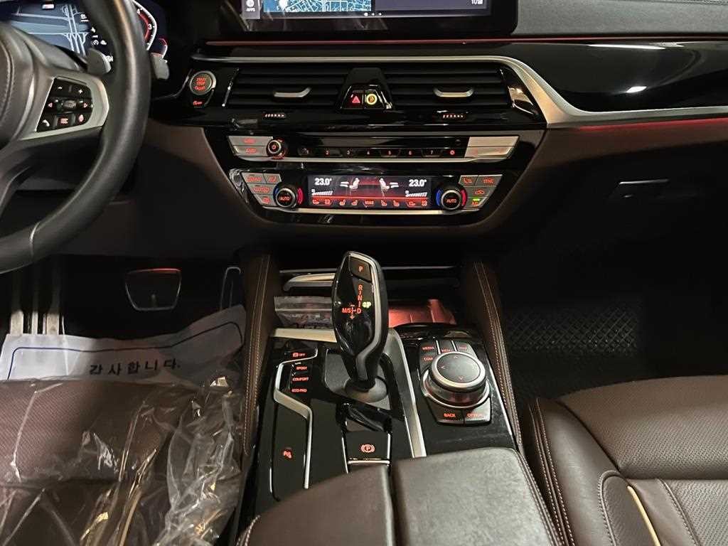 BMW 5시리즈 5시리즈 (G30) 530i M 스포츠 이미지 10