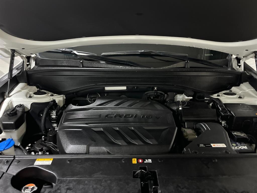 현대 팰리세이드 디젤 2.2 2WD 프레스티지 이미지 20