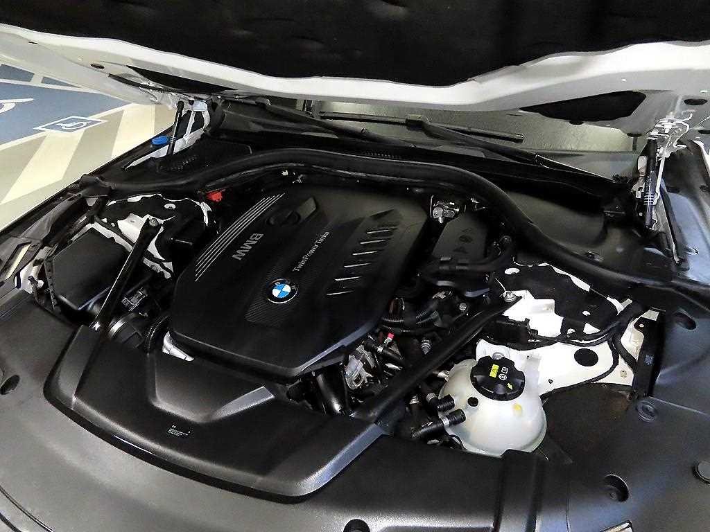 BMW 7시리즈 7시리즈 (G11) 730Ld xDrive M 스포츠 이미지 19
