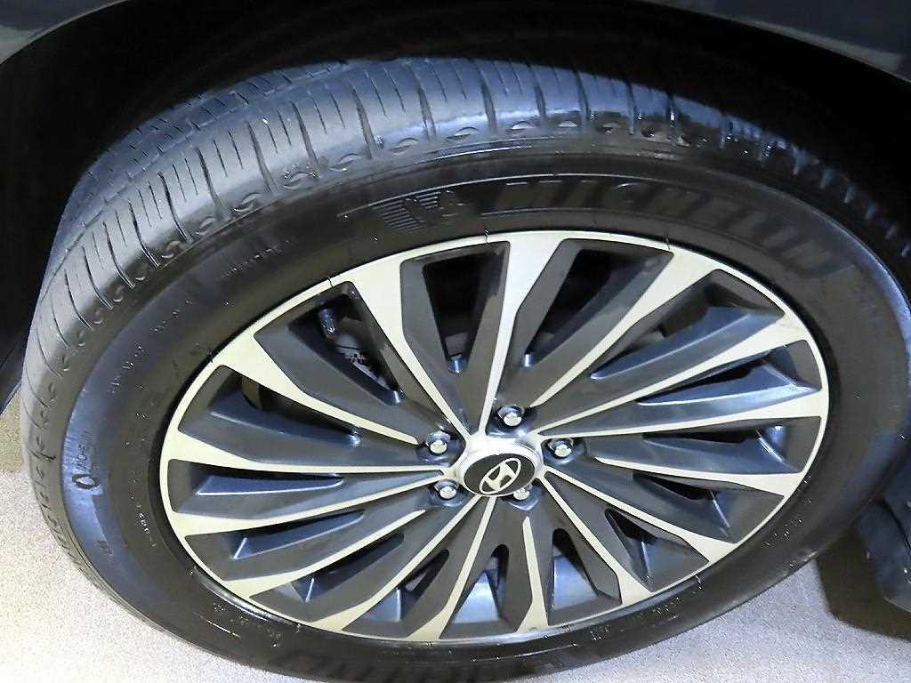 현대 팰리세이드 더 뉴 팰리세이드 디젤 2.2 4WD VIP 이미지 20