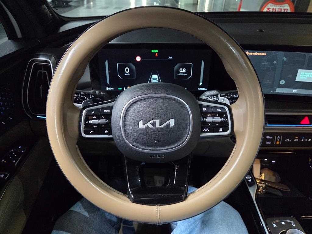 기아 쏘렌토 더 뉴 쏘렌토 4세대 가솔린 2.5T 4WD 시그니처 그래비티 이미지 11