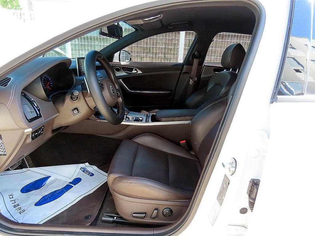 기아 스팅어 가솔린 2.0 터보 2WD 플래티넘 이미지 5