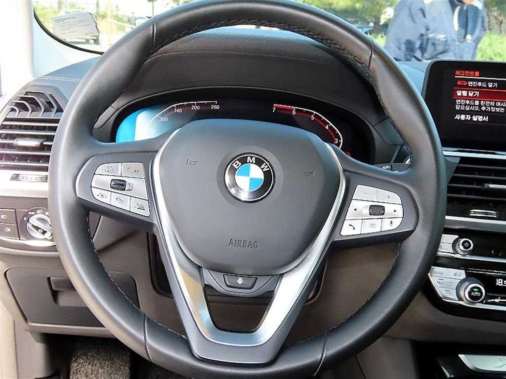 BMW X3 X3 (G01) xDrive 20i 럭셔리 이미지 8