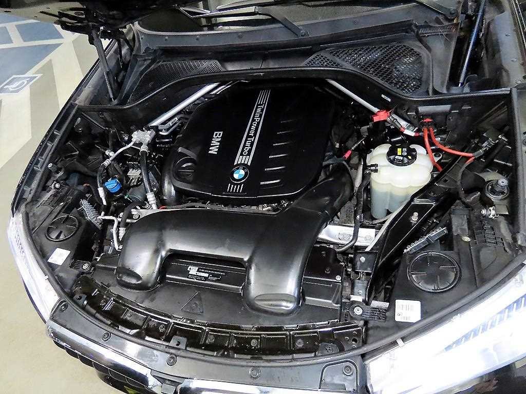 BMW X6 X6 (F16) xDrive 30d 이미지 19