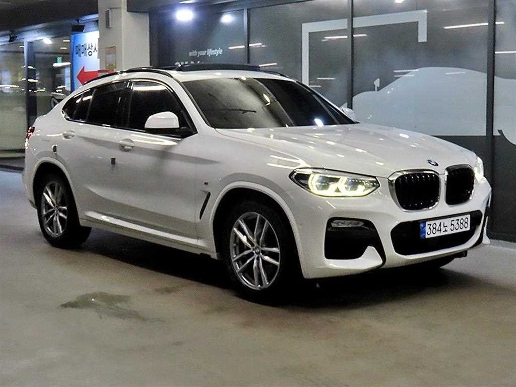 BMW X4 X4 (G02) xDrive 20d M 스포츠 이미지 2