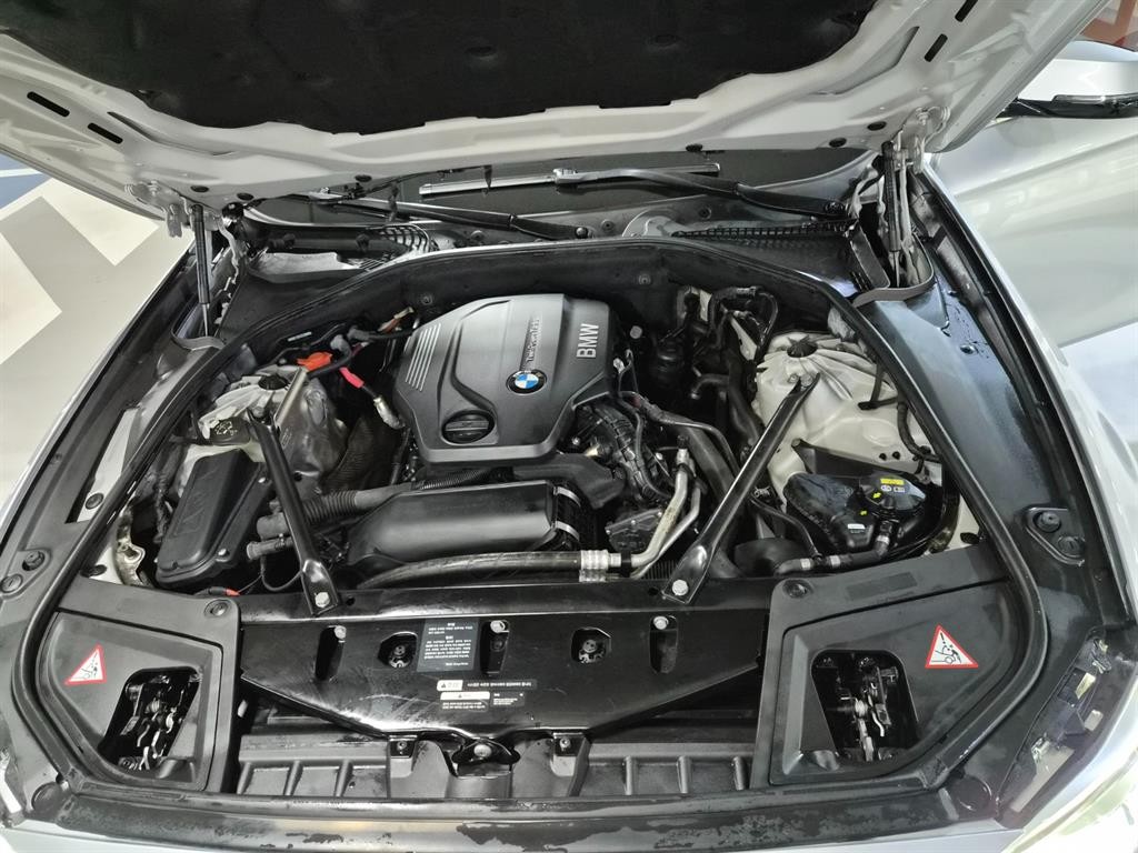 BMW 5시리즈 5시리즈 (F10) 520d 럭셔리 플러스 이미지 19