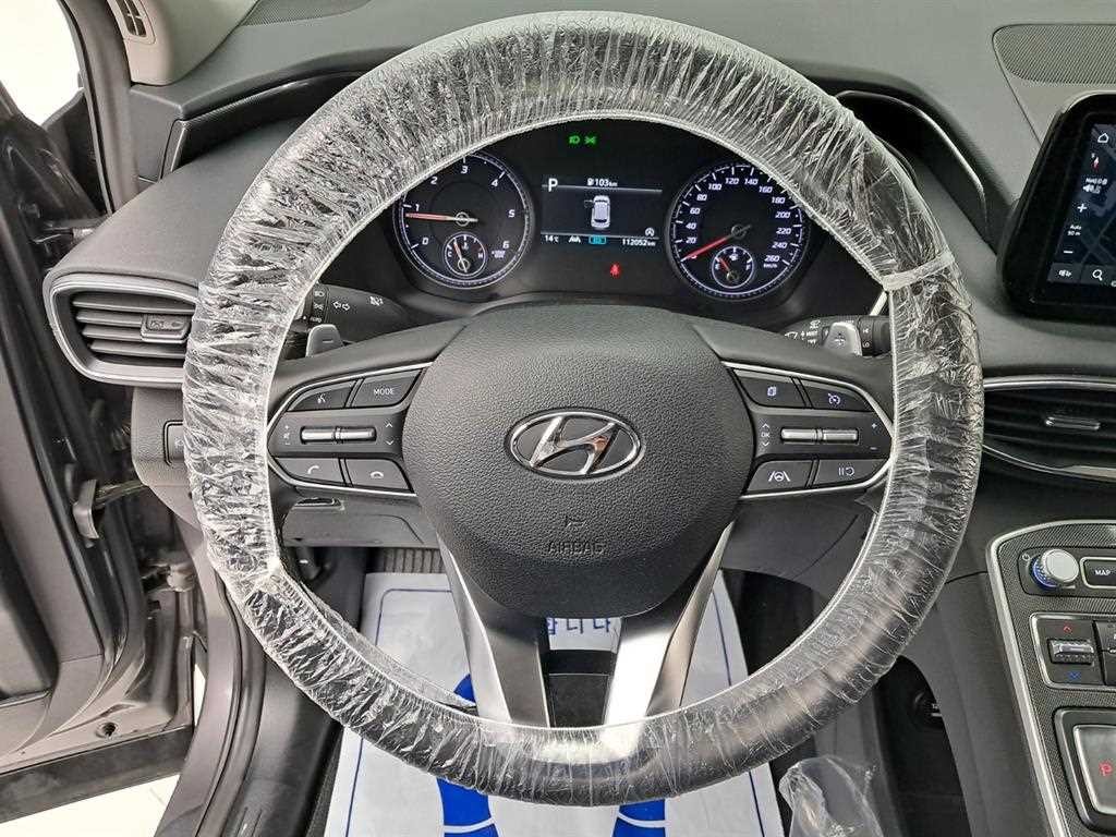현대 싼타페 더 뉴 싼타페 디젤 2.2 2WD 익스클루시브 이미지 7