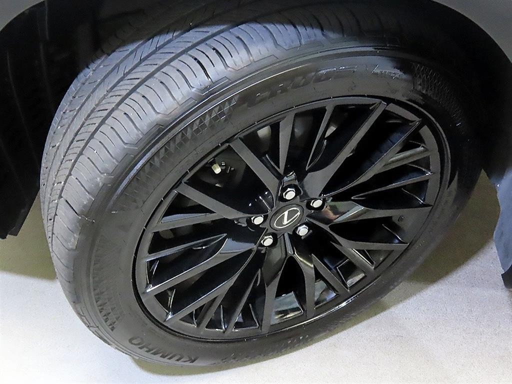 렉서스 RX RX 450h(4세대) F-SPORT 이미지 20