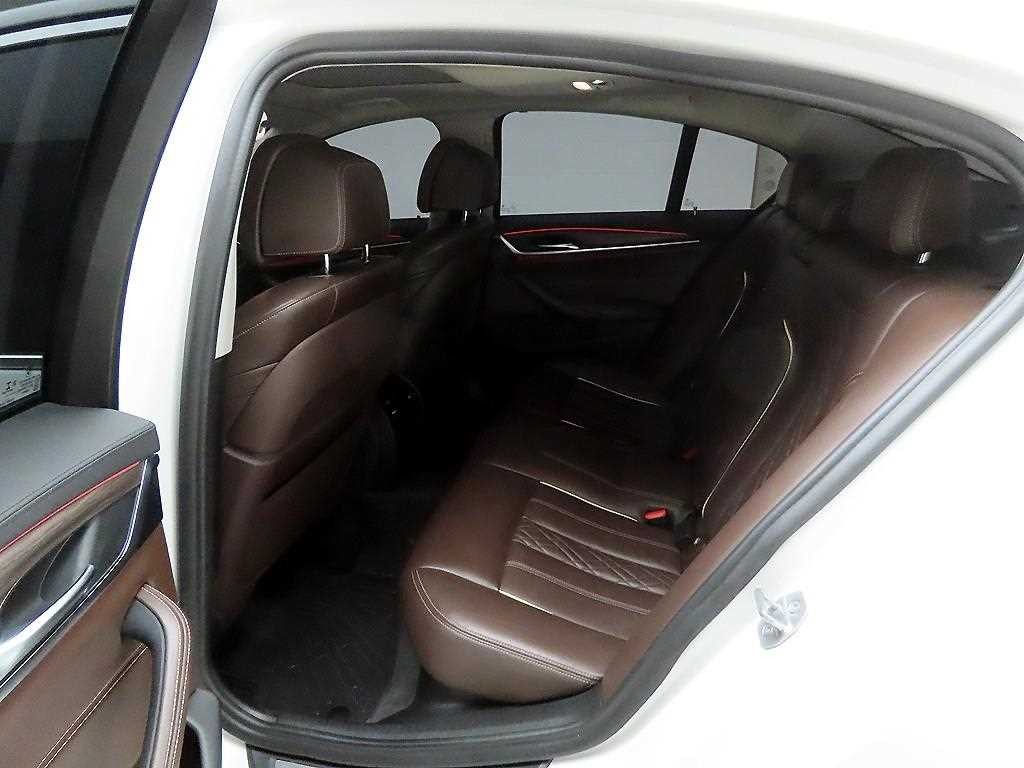 BMW 5시리즈 5시리즈 (G30) 530i xDrive 럭셔리 플러스 이미지 13