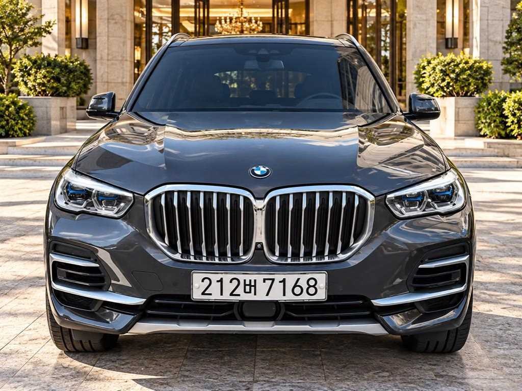 BMW X5 X5 (G05) xDrive 45e xLine 이미지 1