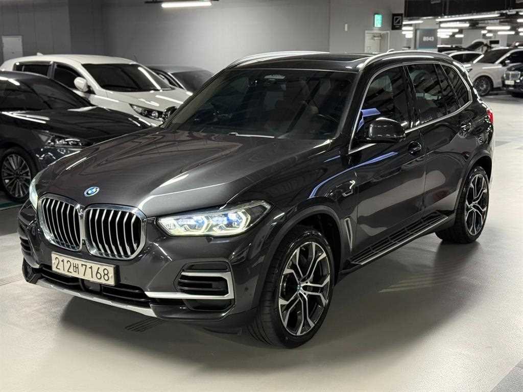 BMW X5 X5 (G05) xDrive 45e xLine 이미지 3