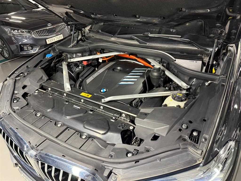 BMW X5 X5 (G05) xDrive 45e xLine 이미지 6