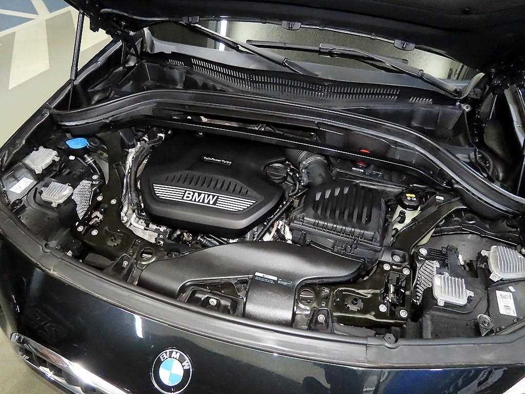 BMW X2 X2 (F39) xDrive 20d M 스포츠 이미지 19
