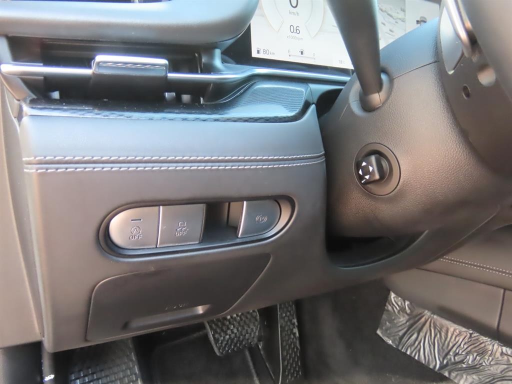 제네시스 G90 G90(RS4) 3.5T GDI AWD 이미지 15