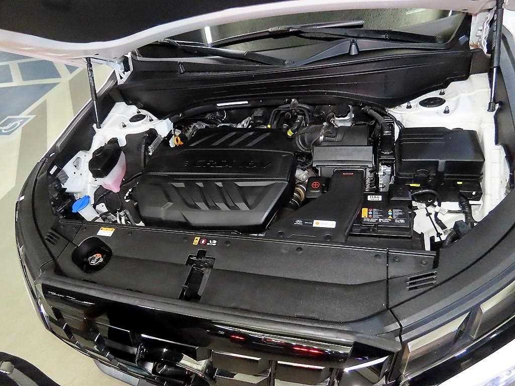 현대 팰리세이드 더 뉴 팰리세이드 디젤 2.2 2WD 르블랑 이미지 19