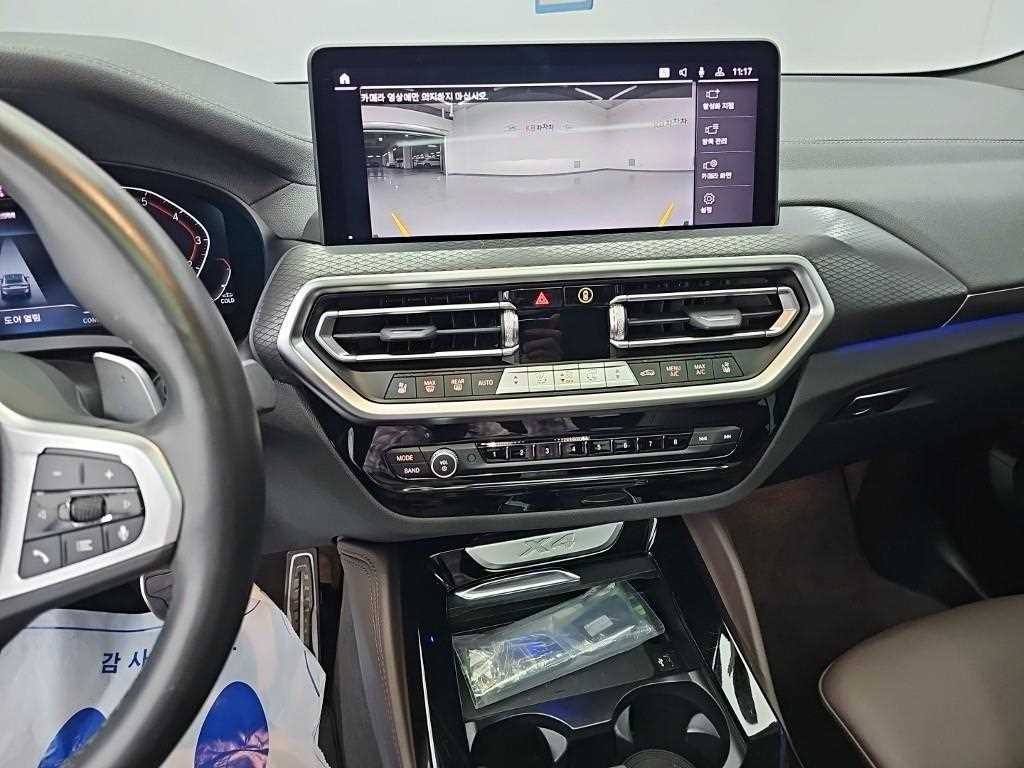 BMW X4 X4 (G02) xDrive 20i M 스포츠 이미지 10