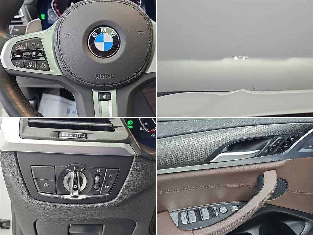 BMW X4 X4 (G02) xDrive 20i M 스포츠 이미지 18