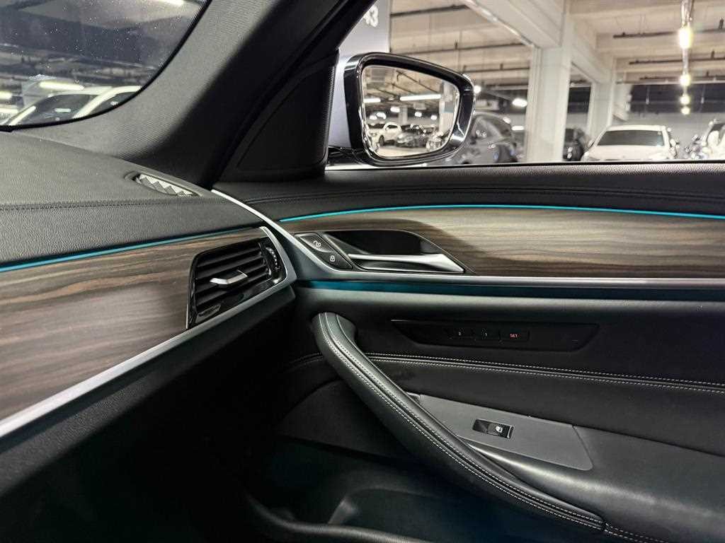 BMW 5시리즈 5시리즈 (G30) 530i M 스포츠 플러스 이미지 17