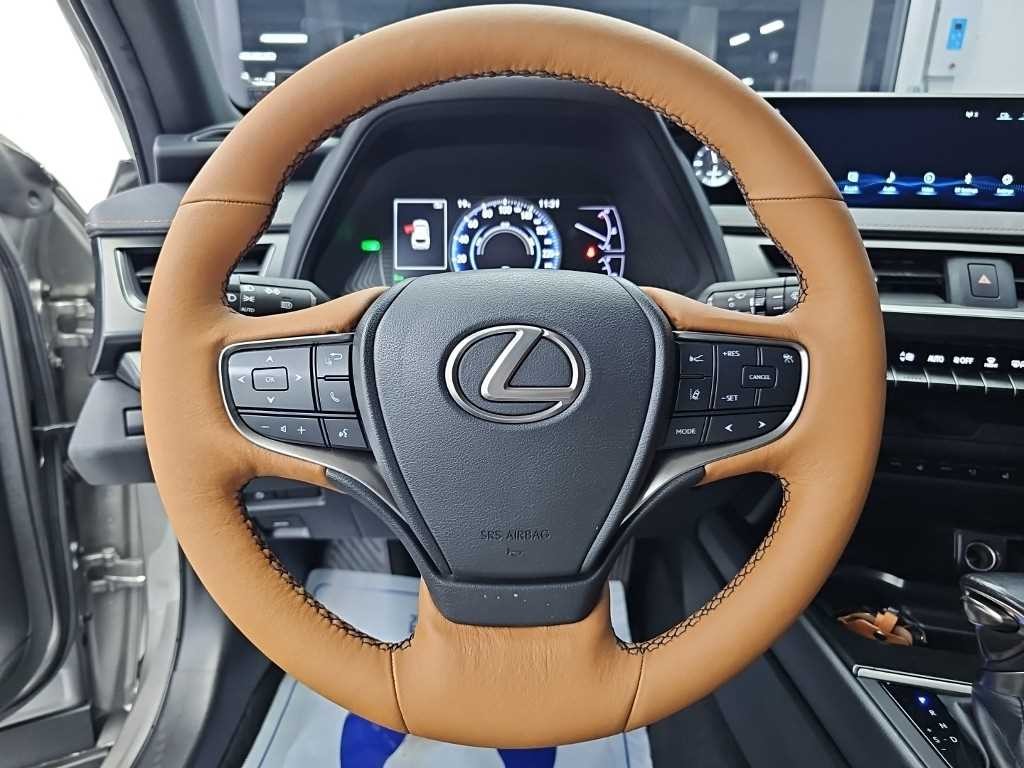 렉서스 UX UX 250h 2.0 2WD 이미지 9