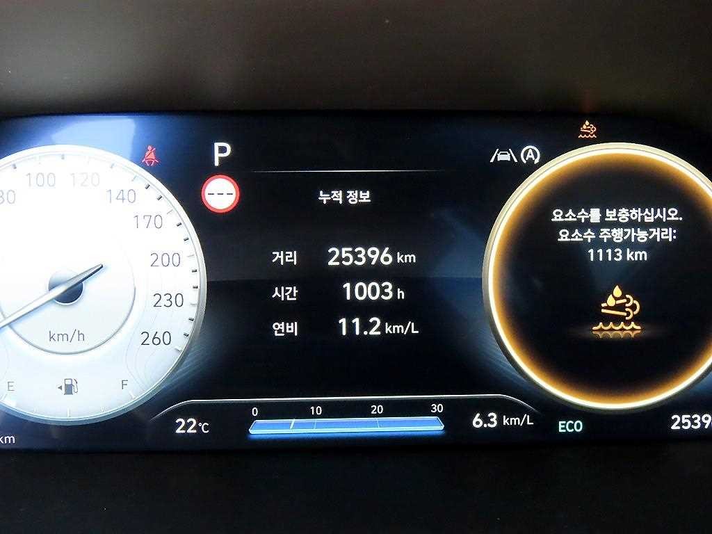 현대 팰리세이드 더 뉴 팰리세이드 디젤 2.2 2WD 캘리그라피 이미지 9