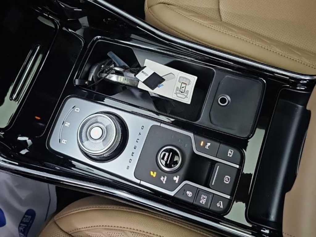 기아 쏘렌토 더 뉴 쏘렌토 4세대 하이브리드 1.6T 4WD 시그니처 그래비티 이미지 8