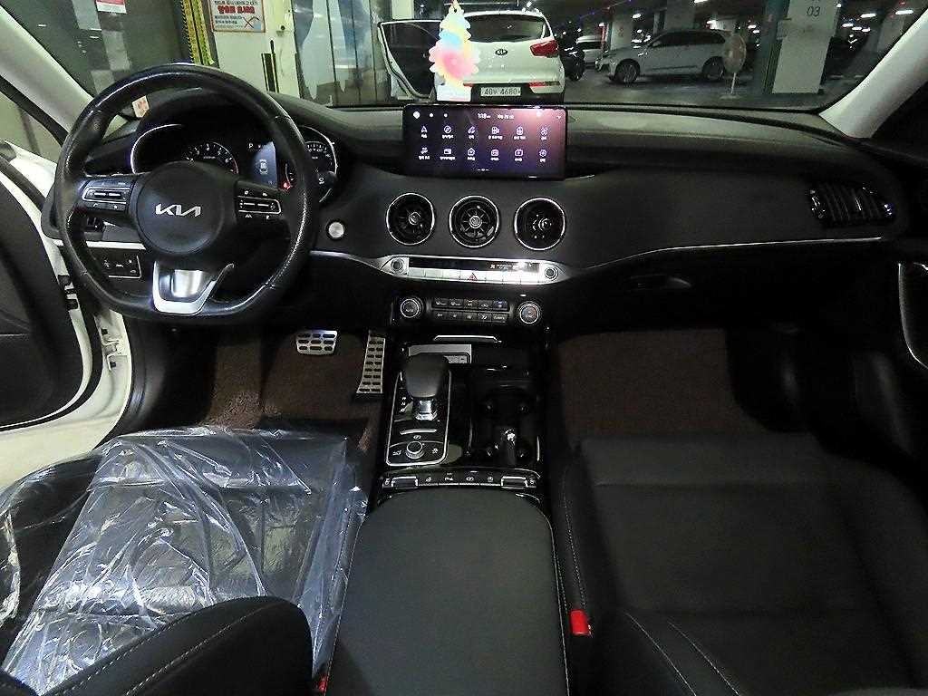기아 스팅어 스팅어 마이스터 2WD 2.5 플래티넘 이미지 10