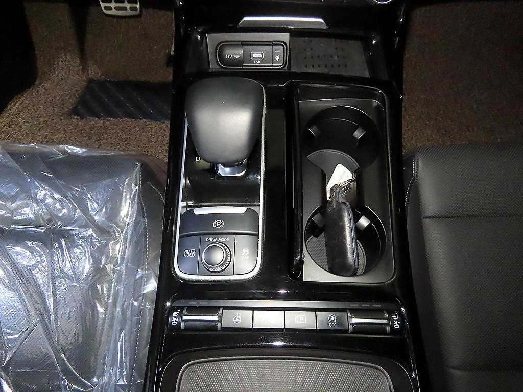 기아 스팅어 스팅어 마이스터 2WD 2.5 플래티넘 이미지 12
