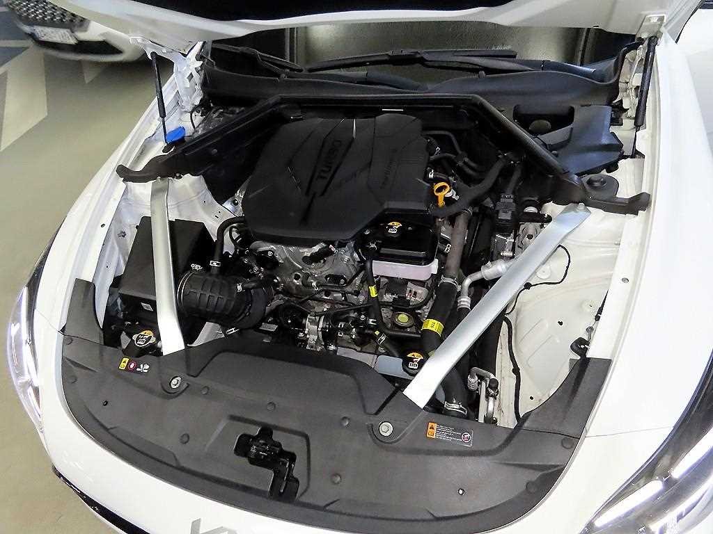 기아 스팅어 스팅어 마이스터 2WD 2.5 플래티넘 이미지 19