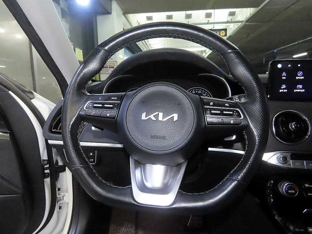 기아 스팅어 스팅어 마이스터 2WD 2.5 플래티넘 이미지 8
