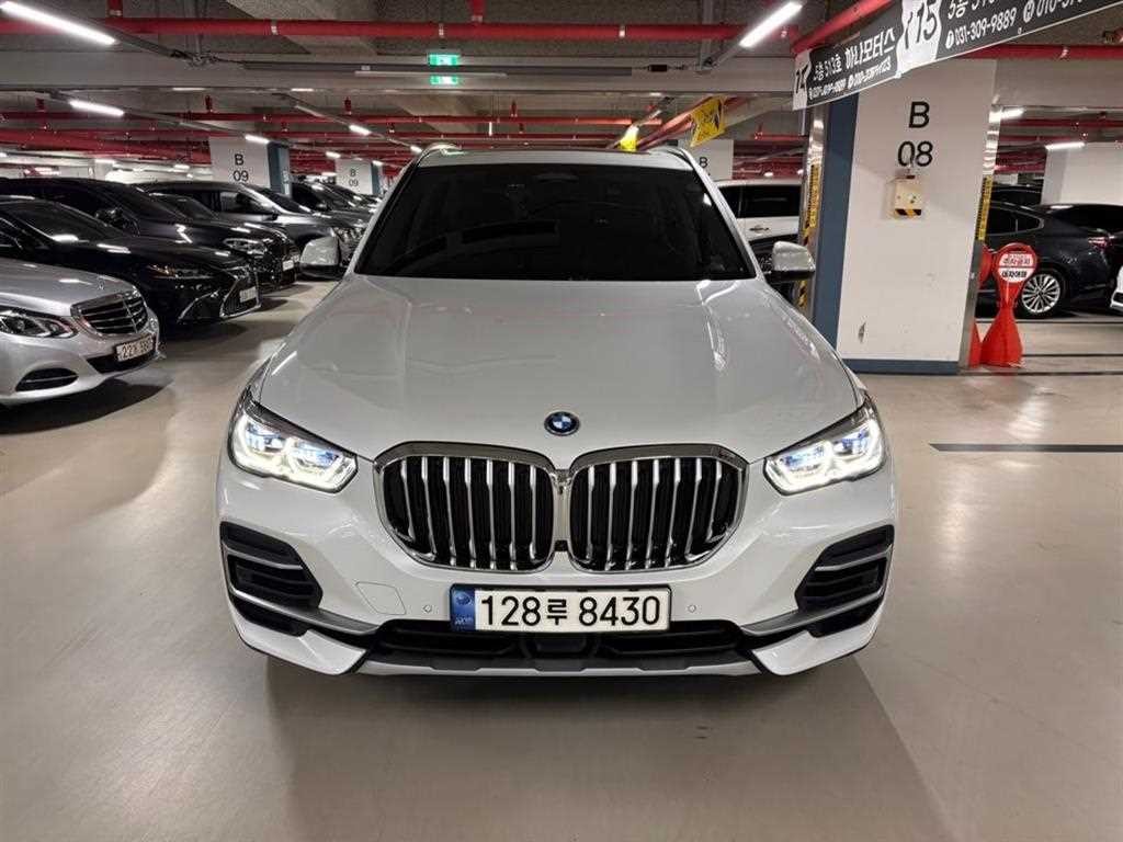 BMW X5 X5 (G05) xDrive 45e xLine 이미지 1
