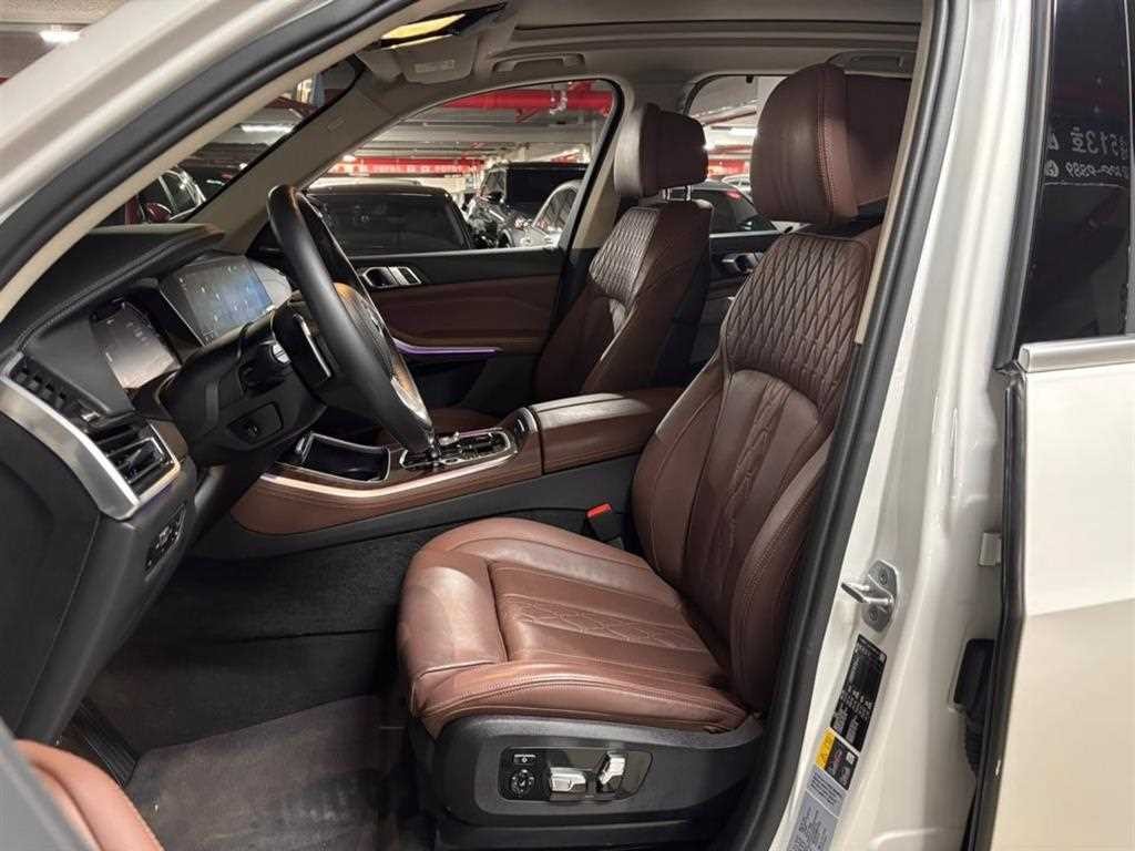 BMW X5 X5 (G05) xDrive 45e xLine 이미지 15