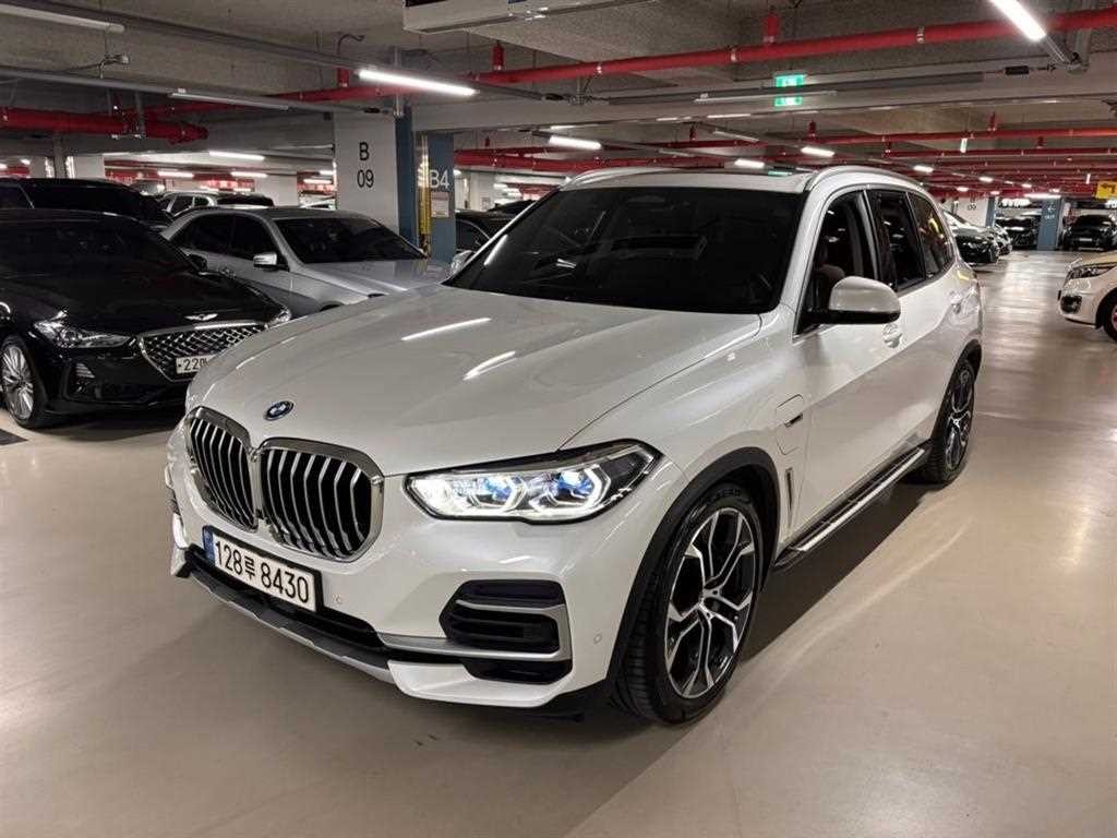 BMW X5 X5 (G05) xDrive 45e xLine 이미지 3