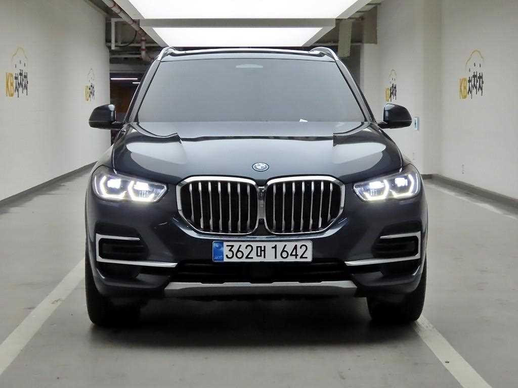 BMW X5 X5 (G05) xDrive 45e xLine 이미지 1