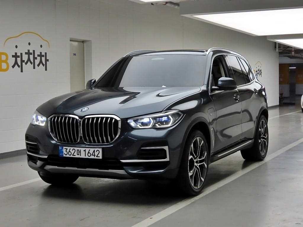 BMW X5 X5 (G05) xDrive 45e xLine 이미지 2