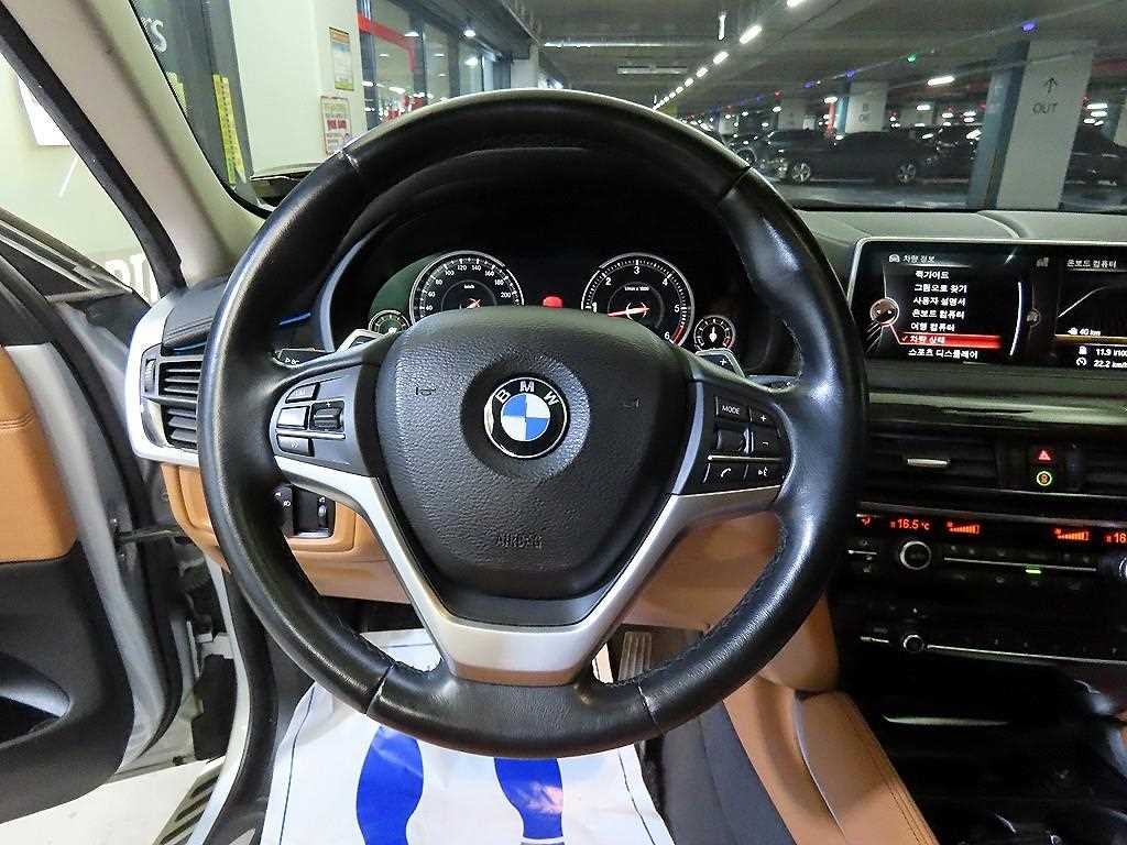 BMW X6 X6 (F16) xDrive 30d 이미지 8