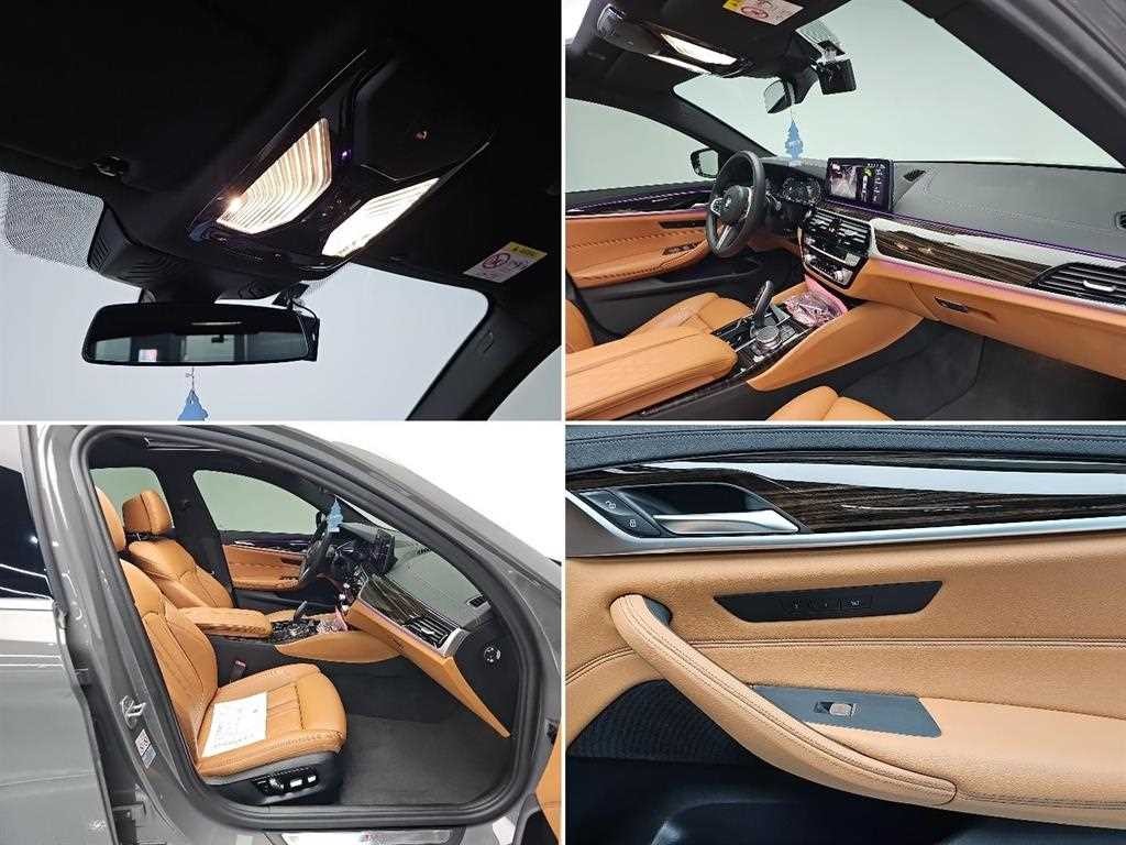 BMW 5시리즈 5시리즈 (G30) 520i M 스포츠 이미지 19